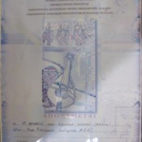 P1010412_450x600.JPG